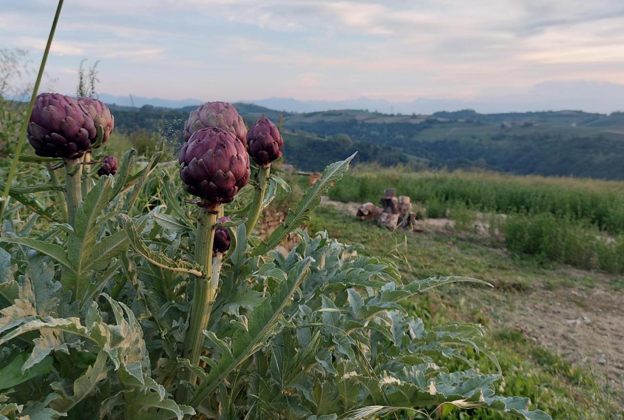 Cascina Nomade - Wine & Scenic Retreat Apartment Доляни Екстериор снимка