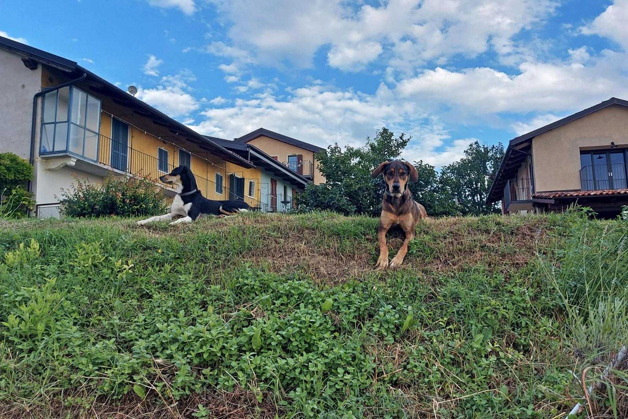 Cascina Nomade - Wine & Scenic Retreat Apartment Доляни Екстериор снимка