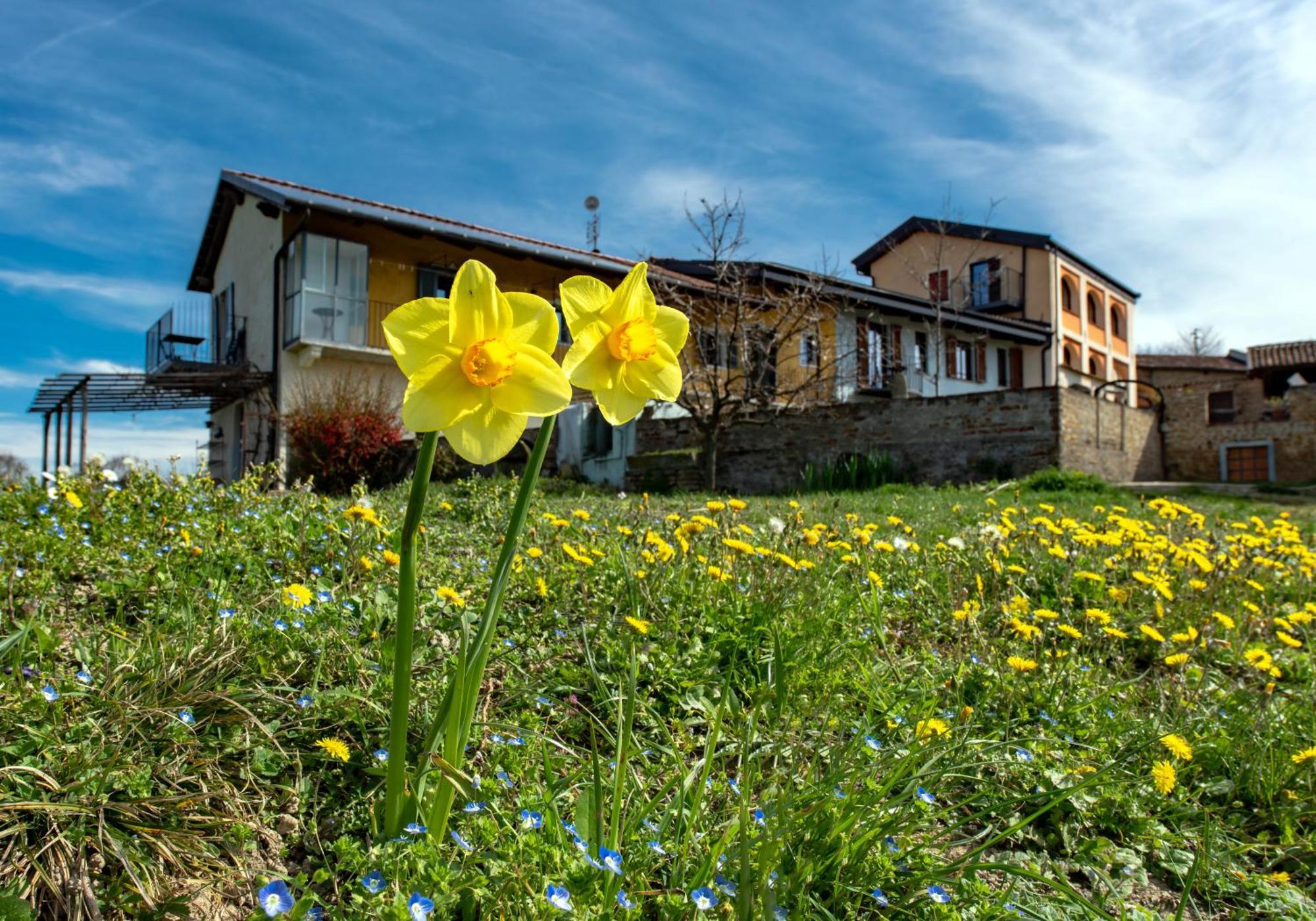 Cascina Nomade - Wine & Scenic Retreat Apartment Доляни Екстериор снимка
