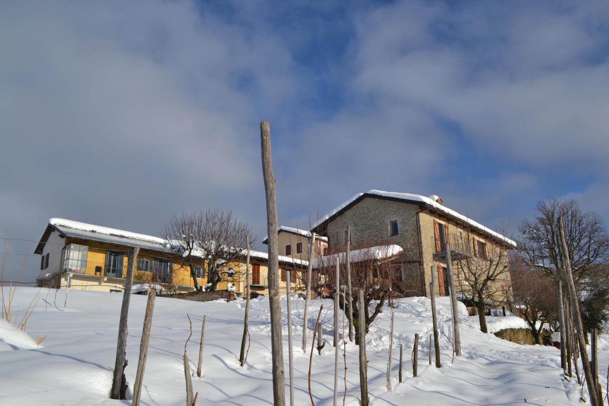 Cascina Nomade - Wine & Scenic Retreat Apartment Доляни Екстериор снимка